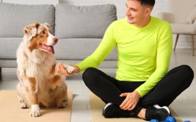 Unlock Your Pet’s Potential: How Pet Training & Activity Mats Boost Play, Learning, and Fun