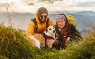 Explore More, Worry Less: Must-Have Pet Lifestyle & Outdoor Gear for Every Season