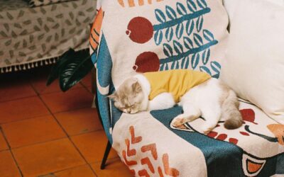 The Ultimate Guide to Pet Apparel & Accessories for Comfort, Protection, and Style in 2026