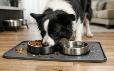 Feeding Mat for Messy Dogs: Is It Worth It?