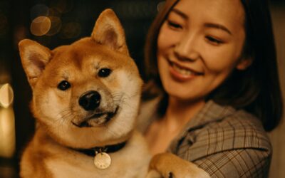 Top 10 Must-Have Pet Products You Didn’t Know You Needed