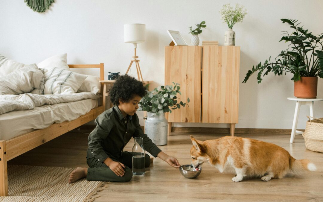 🐾 Inside a Pet’s Daily Routine: How Online Products Are Redefining Modern Pet Care