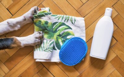 “I Stopped Cleaning So Much… These 3 Pet Products Started Doing It for Me”