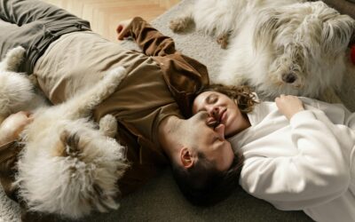“How My Pet Changed the Way I See Life (Without Even Trying)”