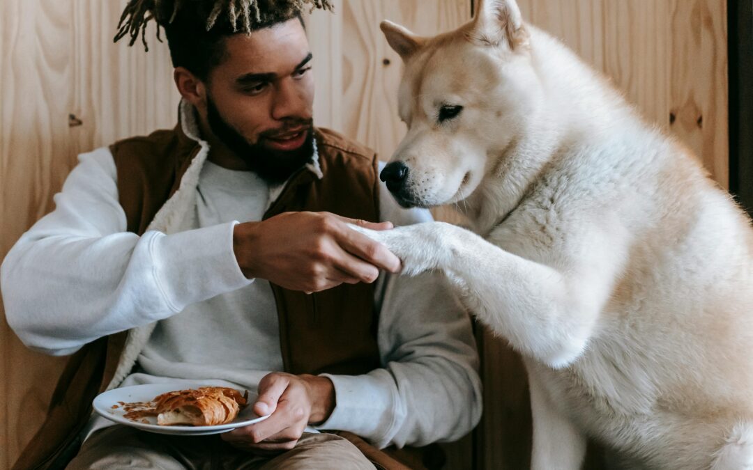🐾 He Doesn’t Speak… But Somehow He Knows Everything I’m Feeling