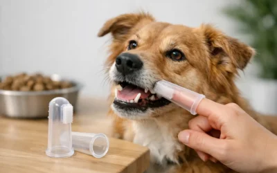 Silicone Finger Toothbrush for Dogs Guide
