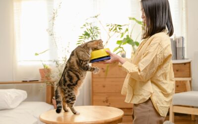 Feeding & Care Made Easy: Simplifying Daily Pet Routines with Smart Products