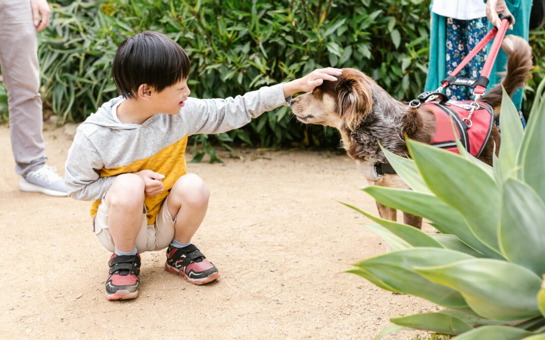 Play, Train, Repeat: Meeting Your Pet’s Mental & Physical Needs Online