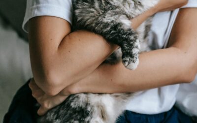 Clean Pets, Clean Homes: Everyday Hygiene Solutions Delivered to Your Door